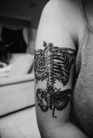 /album/fotogaleria/a309375-464151483620564-785509516-n-large-jpg/